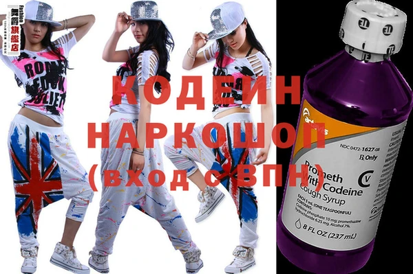 крисы Няндома
