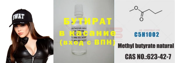 индика Новозыбков