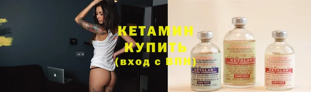 крисы Няндома