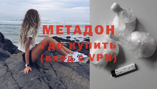 индика Новозыбков