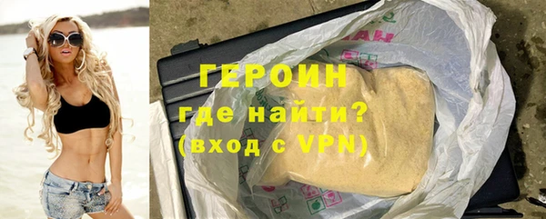 индика Новозыбков