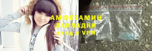 крисы Няндома