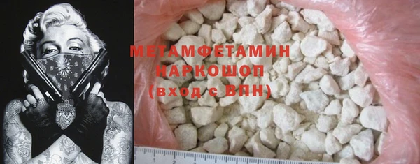индика Новозыбков